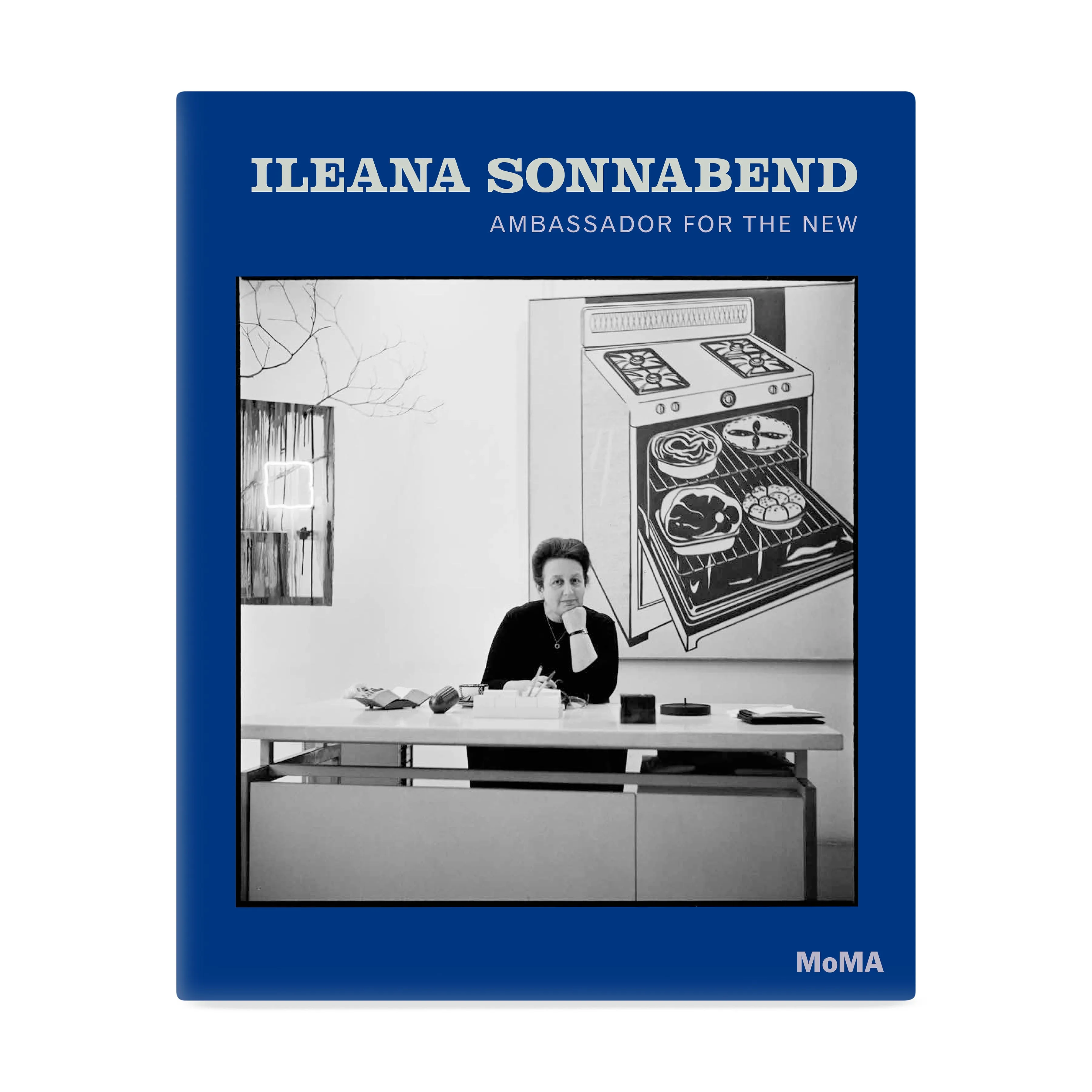 Ileana Sonnabend: Ambassador for the New - Hardcover